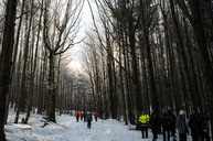 Zväčšiť fotografiu - V lesoch nad cigľom pochodovala vyše dve tisícka turistov - TSK_Pochod Cigeľ_mini-24